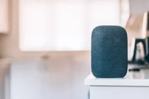 Wireless Speakers