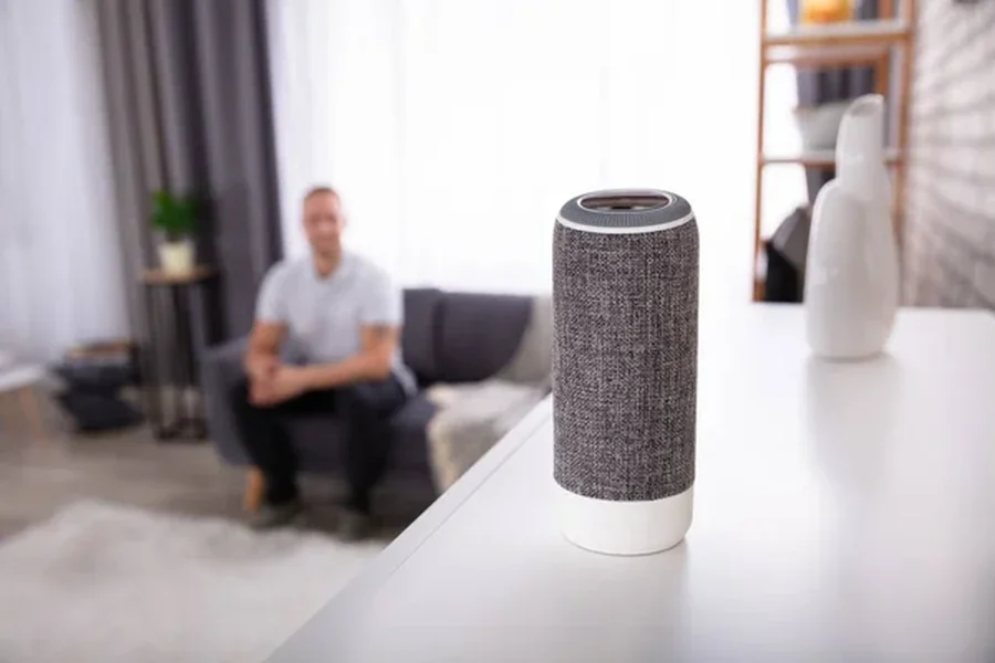 Wireless Speakers